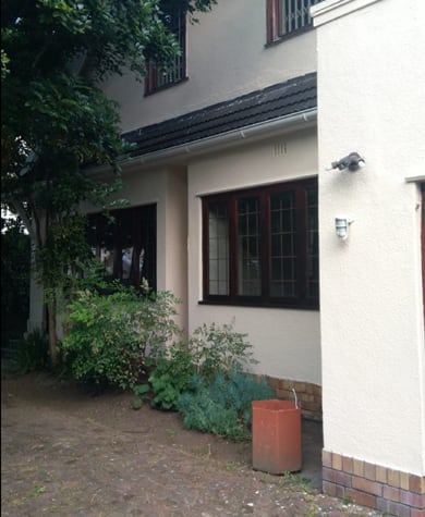 front-windows-and-tree